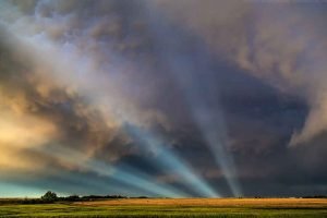 Ryan McGinnis Prairie Landsccape Cover